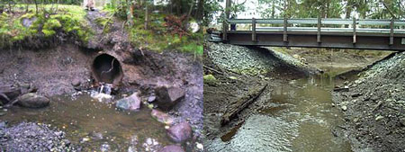 Before and after photos at Lone Tree restoration site.